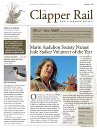 Clapper Rail Newsletter